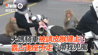 大媽騎車被調皮猴纏上！　霸占後座不走：帶我兜風