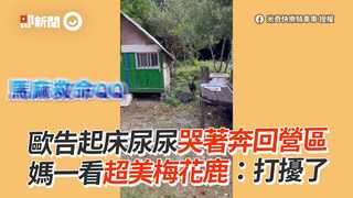 歐告起床尿尿哭著奔回營區　媽一看超美梅花鹿：打擾了