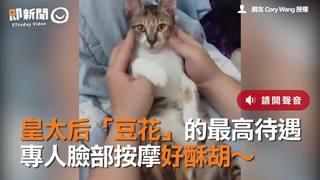 皇太后「豆花」的最高待遇　專人臉部按摩好酥胡～