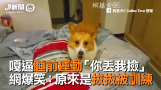 嘎逼睡前運動「你丟我撿」　網爆笑：原來是拔拔被訓練　