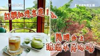 紅楓秘境在這！陽明山上「玻璃木屋咖啡」還有隱藏版繩索吊橋超刺激