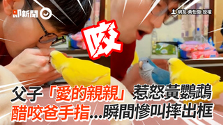 父子「愛的親親」惹怒黃鸚鵡　醋咬爸手指...瞬間慘叫摔出框