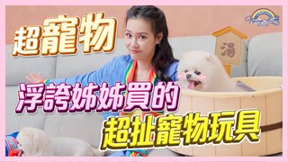 【王思佳的王美頻道】連寵物玩具都超浮誇！？Snow的寵物玩具開箱！跟毛小孩的最佳互動方式告訴你！