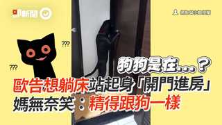 歐告想躺床站起身「開門進房」 　媽無奈笑：精得跟狗一樣