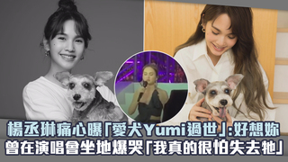 楊丞琳痛心曝「愛犬Yumi過世」：好想妳　曾在演唱會坐地爆哭「我真的很怕失去牠」