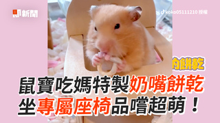 鼠寶吃媽特製奶嘴餅乾　坐專屬座椅品嚐超萌！
