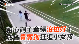 粗心飼主牽繩沒拉好！ 放任貴賓狗狂追小女孩
