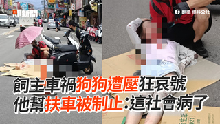飼主車禍狗狗遭壓狂哀號 他幫扶車被制止：這社會病了