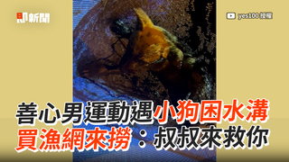 善心男運動遇小狗困水溝　買漁網來撈：叔叔來救你