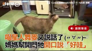 喵星人舞麥又說話了 (〃∀〃)~♡媽媽幫開門牠開口說「好哇」