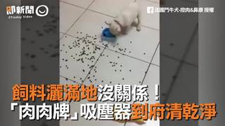  飼料灑滿地沒關係！ 「肉肉牌」吸塵器到府清乾淨