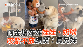 阿金搶妹妹奶嘴、娃娃　咬緊不放網笑：真兄妹
