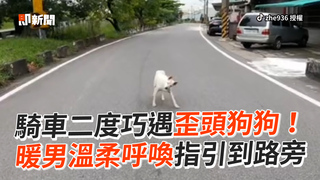騎車二度巧遇歪頭狗狗！　暖男溫柔呼喚指引到路旁