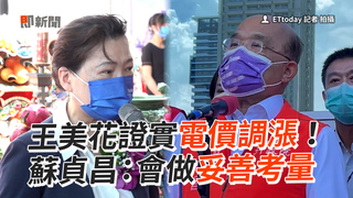 王美花證實電價調漲！　蘇貞昌：會做妥善考量