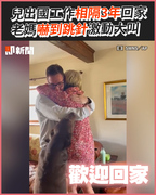 兒出國工作相隔3年回家　老媽嚇到跳針激動大叫