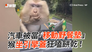 汽車被當「移動野餐墊」　猴坐引擎蓋狂嗑餅乾！