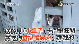 送餐見「小鼻子」卡門縫狂聞　貪吃狗垂掛嘴邊肉：那我的