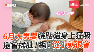 6月大男嬰臉貼貓身上狂吸 還會揉肚！網：從小就很會
