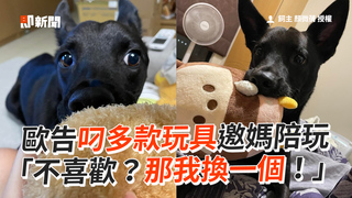 歐告叼多款玩具邀媽陪玩　「不喜歡？那我換一個！」