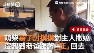萌柴為了討摸摸對主人撒嬌　沒想到老爸跟著「汪」回去