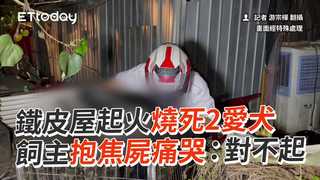 鐵皮屋起火燒死2愛犬　飼主抱焦屍痛哭：對不起