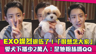 EXO燦烈退伍了！「很想念大家」 愛犬下播少2萬人：是牠粉絲嗎QQ