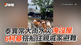 泰異常大雨水災淹沒屋 6柯基搭船往親戚家避難