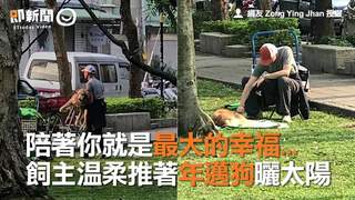 陪著你就是最大的幸福...　飼主溫柔推著年邁狗曬太陽