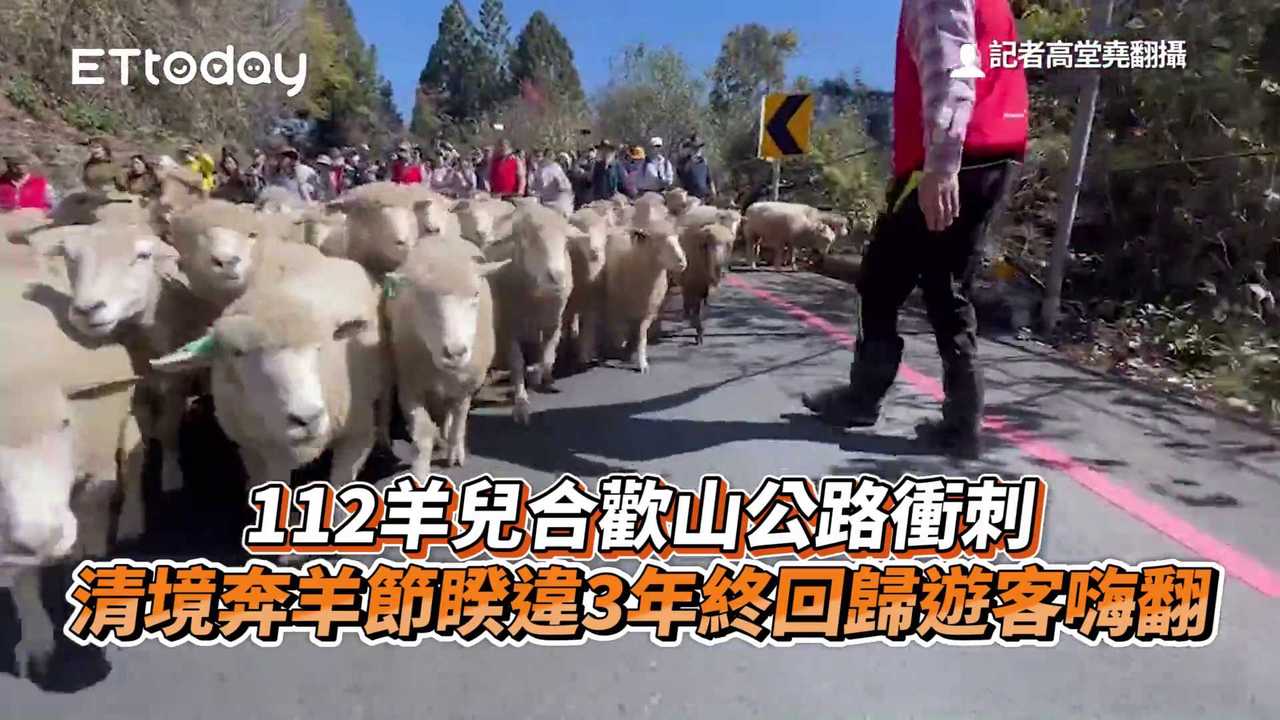 112羊兒合歡山公路衝刺 清境奔羊節睽違3年終回歸 遊客嗨翻 播吧boba Ettoday新聞雲