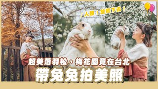 侑敏頻道-帶兔兔拍美照！落羽松、梅花園竟然就在台北！花期剩最後兩週快來搶拍！