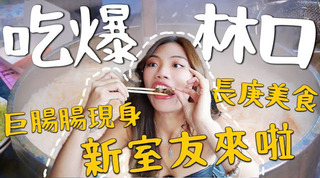 小象愛出門【林口】吃爆林口！學生吃到長大～巨霸腸工程師最愛？新室友拜碼頭拉！！