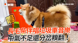 長毛柴伴唱垃圾車音樂　中氣不足還分岔糗翻！