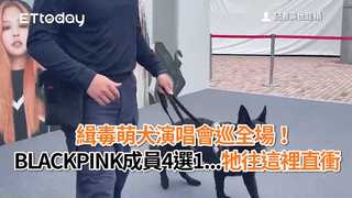 緝毒萌犬演唱會巡全場！　BLACKPINK成員4選1...牠往這裡直衝