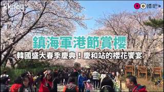 KKday【韓國旅遊】鎮海軍港節！慶和站的櫻花饗宴