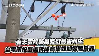 春天電桿築巢繁衍鳥害頻生　台電南投區處拆除鳥巢並加裝驅鳥器