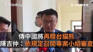 傳中國將再贈台貓熊　陳吉仲：依規定召開專案小組審查