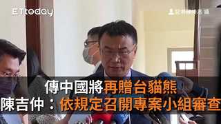 傳中國將再贈台貓熊　陳吉仲：依規定召開專案小組審查