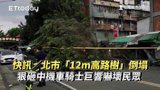 快訊／北市「12m高路樹」倒塌！狠砸中機車騎士　巨響嚇壞民眾