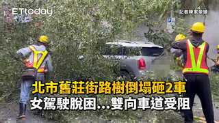 北市舊莊街路樹倒塌砸2車　女駕駛脫困...雙向車道受阻