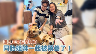 浪浪別哭-遭人丟棄在蘭嶼的姐妹一起被領養了！｜浪浪到家了
