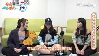 有點毛毛的S5EP35精華/【欸這可以養嗎】易瘦體質、黑眼圈也有功用！關於狐獴的5個冷知識