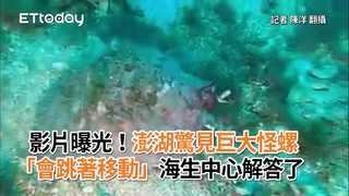 影片曝光！澎湖驚見巨大怪螺「會跳著移動」　海生中心解答了