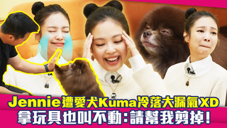 Jennie遭愛犬Kuma冷落大漏氣XD　拿玩具也叫不動：請幫我剪掉！