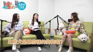 有點毛毛的S5EP37精華/【欸這可以養嗎】角落棉花糖！乖巧的比熊犬...名字源於超浪漫法文單字