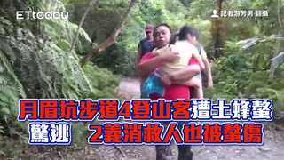 月眉坑步道4登山客遭土蜂螯驚逃　2義消救人也被螯傷
