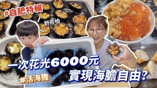 特盛吃貨艾嘉【活海膽】花光6000元，現剖活海膽也太好吃了吧！干貝海膽炙燒、雙色丼飯爽度有夠高