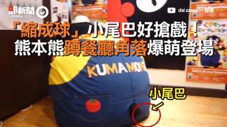 「縮成球」小尾巴好搶戲！  熊本熊蹲餐廳角落爆萌登場 飄