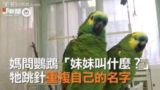 媽問鸚鵡「妹妹叫什麼？」　牠跳針重複自己的名字