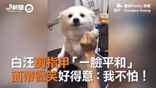 白汪剪指甲「一臉平和」　面帶微笑好得意：我不怕！