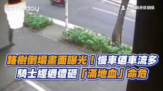 路樹倒塌畫面曝光！慢車道車流多　騎士經過遭砸「滿地血」命危